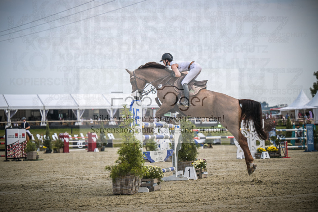 DOS_0863 | Entdecke hochwertige Reitturnierfotos von Foto Oger. Professionell, emotional und authentisch – jetzt Lieblingsmomente im Shop bestellen.Deutschlandweite Turnierfotografie. - Realisiert mit Pictrs.com