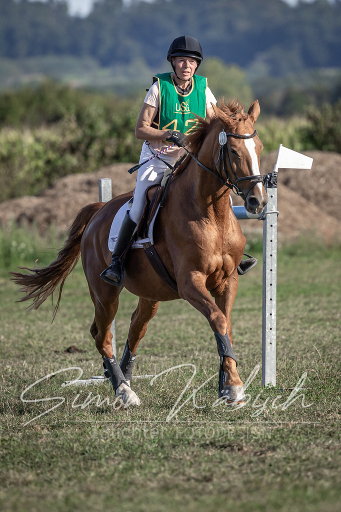 20250907-_3LI4341 | Tierfotografie Pferde, Hunde, Katzen, Haustiere.
Turnierfotografie Reitturniere, Reiten, Springreiten, Dressur in Hanau, dem Main-Kinzig-Kreis und dem Rhein-Main- Gebiet um Frankfurt