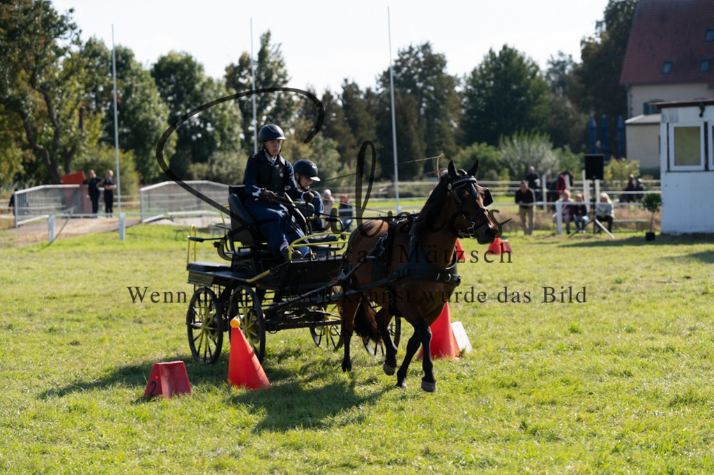 A7V04399 | Pferdefotograf