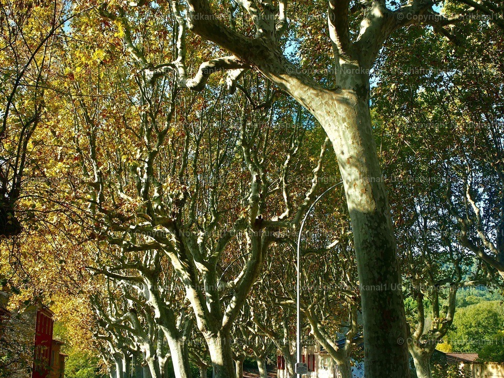 PA272061 | OLYMPUS DIGITAL CAMERA          - Realisiert mit Pictrs.com