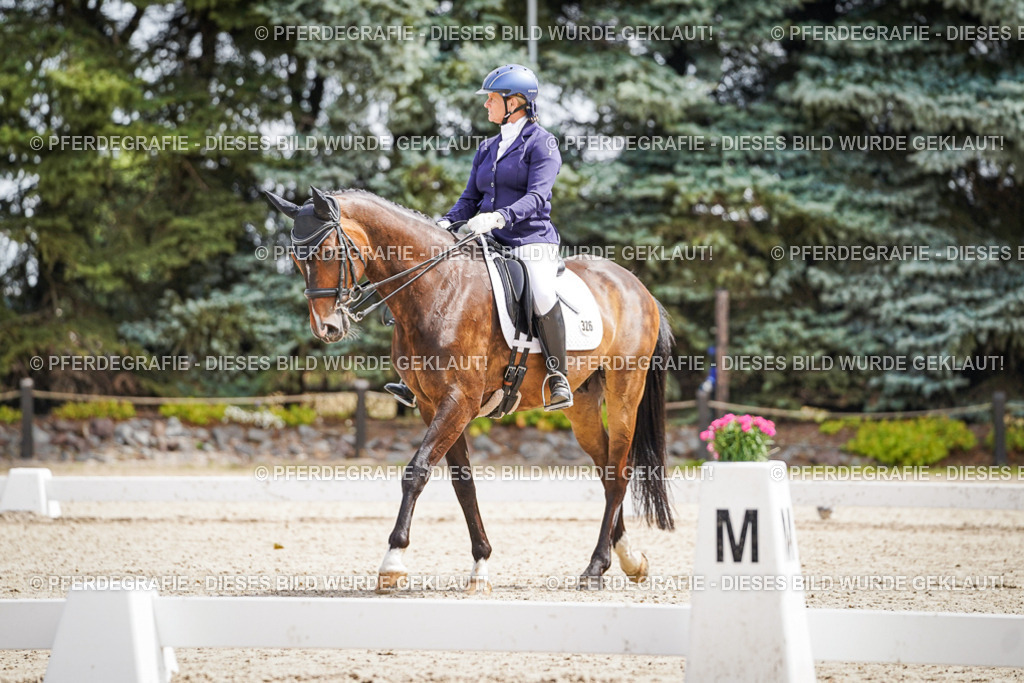 DSC02466 | Pferdegrafie