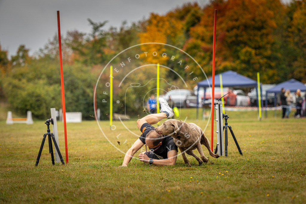 Pfotenfotografie_DV3A2329 | Hundefotografie, Tierfotograf, Pfotenfotografie, Fotoshooting Hund, Hunde Portrait, Hundesport, Hundeportraits, Heideshooting, Hunde, Sportfotograf, Hundefotograf, Turnierhundsport, THS,  - Realisiert mit Pictrs.com