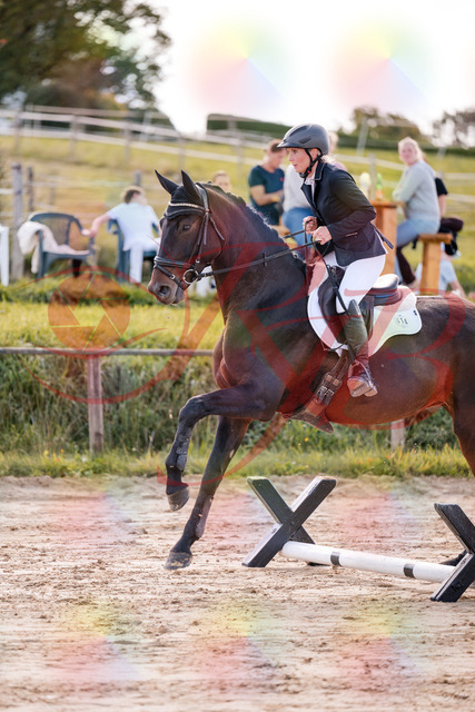 2026_10_03_Siefer-Hof_144031_Z81_11503227 | Professionelle Reitsport-, Turnier- und Eventfotografie von Robert Broda. Galerien mit ausgewählten und bearbeiteten Bildern direkt online ansehen und bestellen.