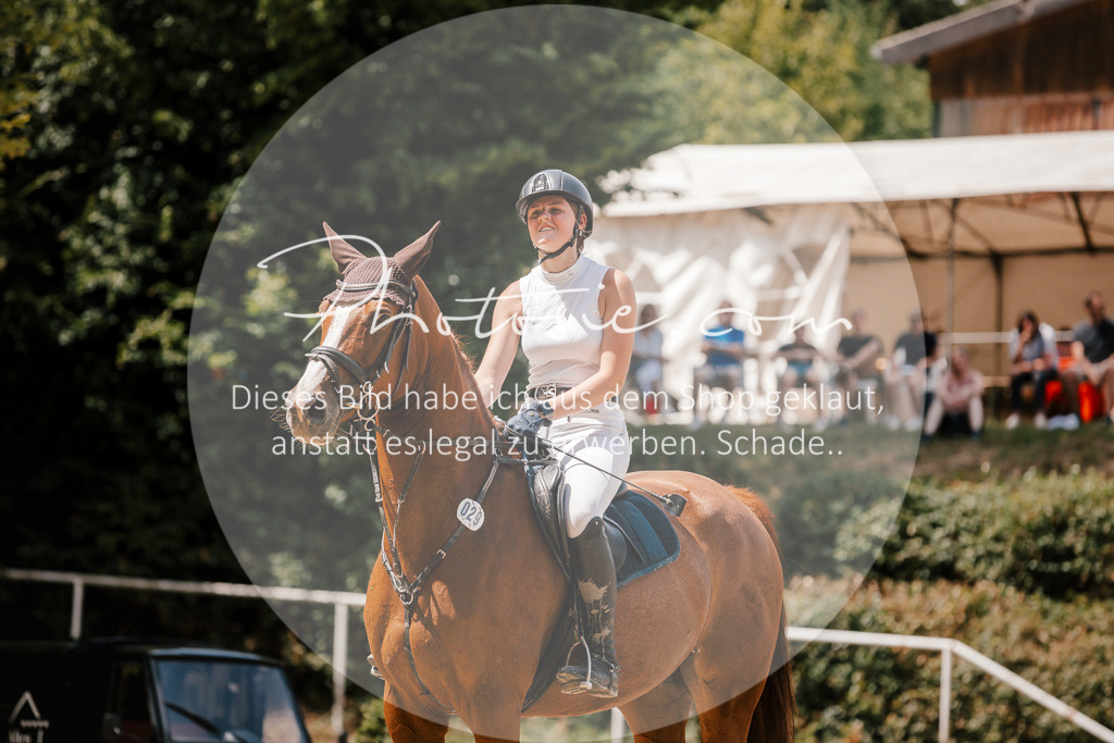 3I6A8035 | Stimmungsvolle Portraits und Reitsportfotografie im Ruhrgebiet und im Münsterland.

Pferdefotografie, Hundefotografie, Tierfotografie, Reportagen, Portraits von Tier und Mensch, Turnierfotografie in Bochum, Recklinghausen, Marl, Haltern am See, Dülmen.. - Realisiert mit Pictrs.com