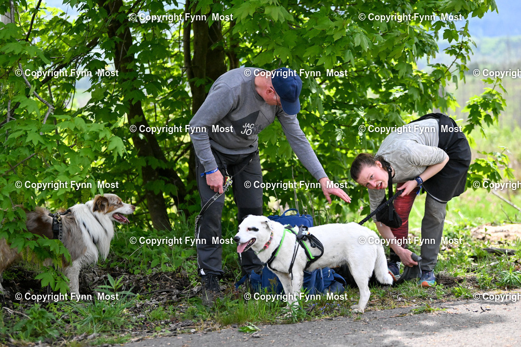 DSC_5109 | Hallo und herzlich Willkommen auf meiner Shop-Seite Fynn Most.

Ich wünsche Dir viel Spaß beim stöbern durch die Bilder, wenn Du Fragen hast oder Bilder vermisst, kannst du mir gerne eine Nachricht schreiben. - Realisiert mit Pictrs.com