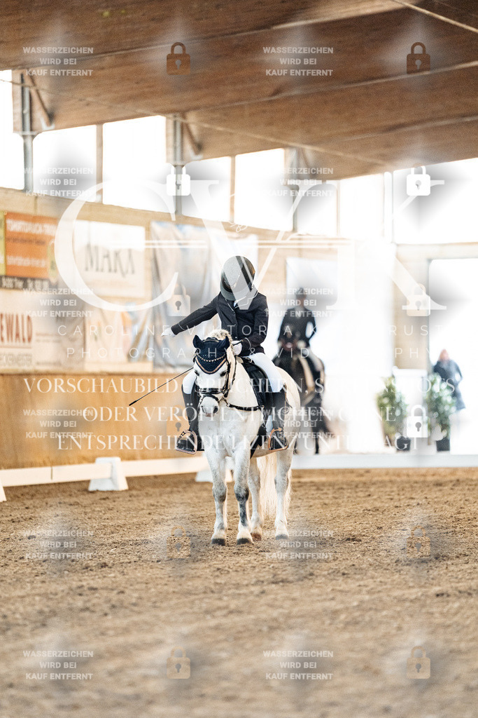 CK906361 | Turnierfotografie Pferdefotografie Trier Rheinland-Pfalz Pferdesport Reitsport Tierfotografie Sportfotografie Pferdevideo Pferdevideografie Equestrianvideography equestrianphotography  - Realisiert mit Pictrs.com