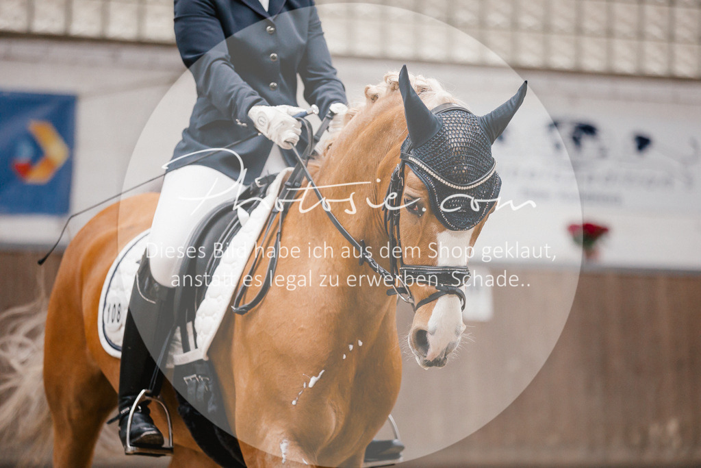 3I6A6270 | Stimmungsvolle Portraits und Reitsportfotografie im Ruhrgebiet und im Münsterland.

Pferdefotografie, Hundefotografie, Tierfotografie, Reportagen, Portraits von Tier und Mensch, Turnierfotografie in Bochum, Recklinghausen, Marl, Haltern am See, Dülmen.. - Realisiert mit Pictrs.com