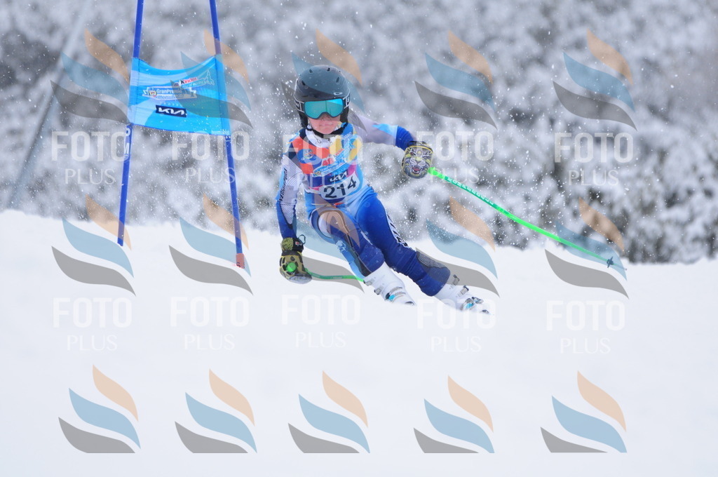 C2290 | holidayphoto