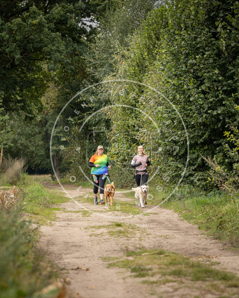 Pfotenfotografie_DV3A7325 | Hundefotografie, Tierfotograf, Pfotenfotografie, Fotoshooting Hund, Hunde Portrait, Hundesport, Hundeportraits, Heideshooting, Hunde, Sportfotograf, Hundefotograf, Turnierhundsport, THS,  - Realisiert mit Pictrs.com