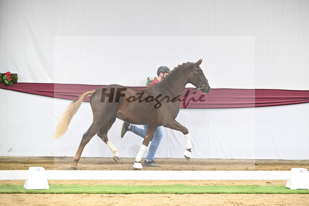 Kat-Nr. 64 Sky x Damsey_Heiko Klausing_47252318 | hf-fotografie - Realisiert mit Pictrs.com