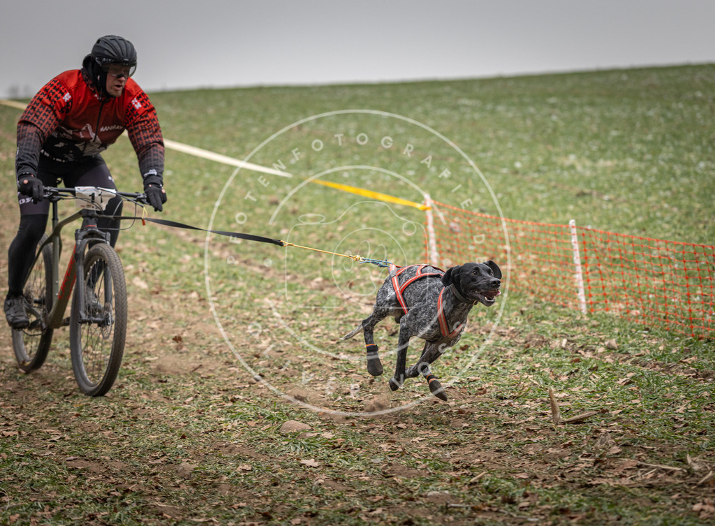 Pfotenfotografie_DV3A2378 | Hundefotografie, Tierfotograf, Pfotenfotografie, Fotoshooting Hund, Hunde Portrait, Hundesport, Hundeportraits, Heideshooting, Hunde, Sportfotograf, Hundefotograf, Turnierhundsport, THS,  - Realisiert mit Pictrs.com