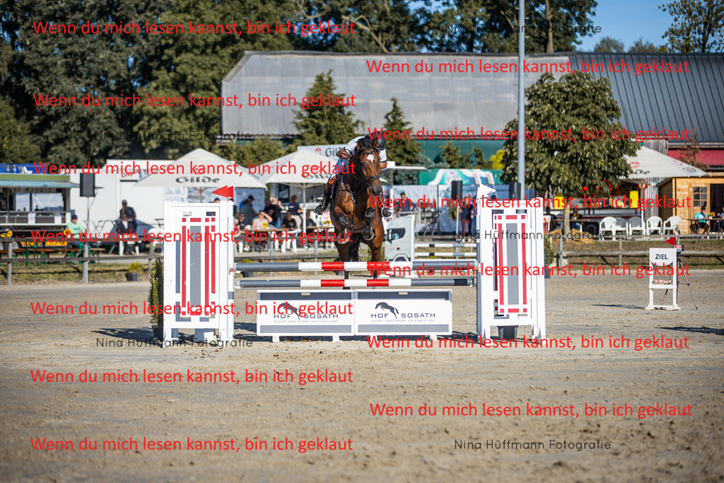 BK1A6155 | Turnierbilder Turnierfotos Nina Hüffmann Turnierfotografie Pferdefotografie Tierzeichnung Haustierzeichnung Pferdezeichnung Hundezeichnung Videograf  - Realisiert mit Pictrs.com