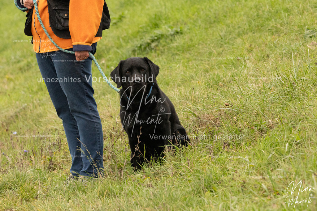 _16A0753 | Einzigartige Fotos von Hunden & Menschen –Actionfotos, Portraits, Vereinsaufnahmen & Paarshootings – authentisch, lebendig & mit Herz.