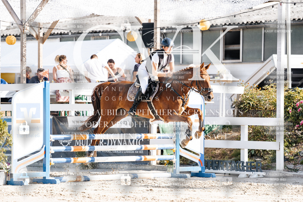 CK909364 | Turnierfotografie Pferdefotografie Trier Rheinland-Pfalz Pferdesport Reitsport Tierfotografie Sportfotografie Pferdevideo Pferdevideografie Equestrianvideography equestrianphotography  - Realisiert mit Pictrs.com