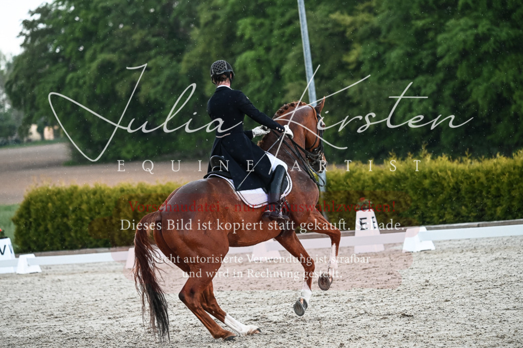 20230514_JK-Röhrsdorf-21-594 | Pferde- und Turnierfotografie in Westsachsen. Pferdeportraits, Auftragszeichnungen und intuitive Kunst.