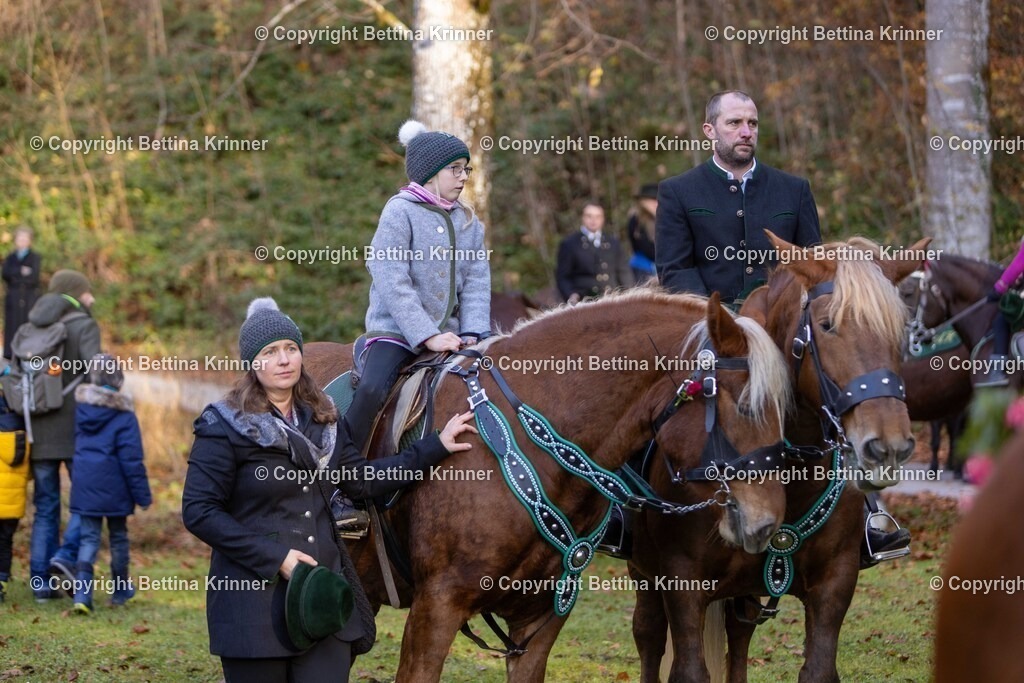 LL24-265 | foto-bettina-krinner - Realisiert mit Pictrs.com