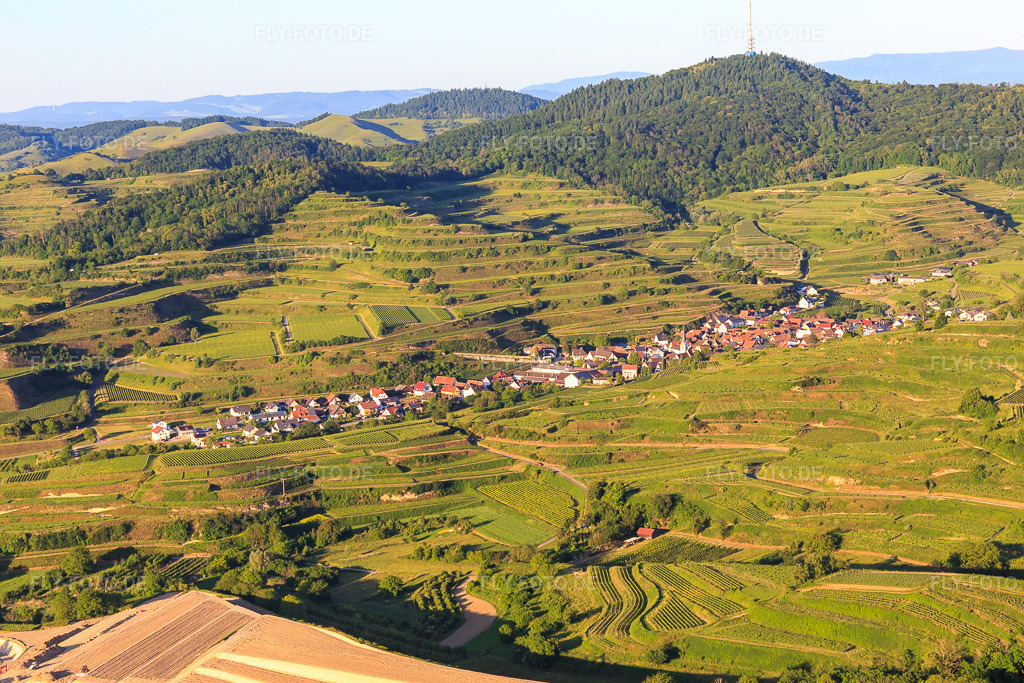 Luftbild: Winzerdorf im Kaiserstuhl aus Westen im Ortsteil Bickensohl in Vogtsburg im Bundesland Baden-Württemberg in Deutschland. Foto: IMG_147872.jpg vom 30.05.2025 durch Werner Riehm/FLY-FOTO.de
