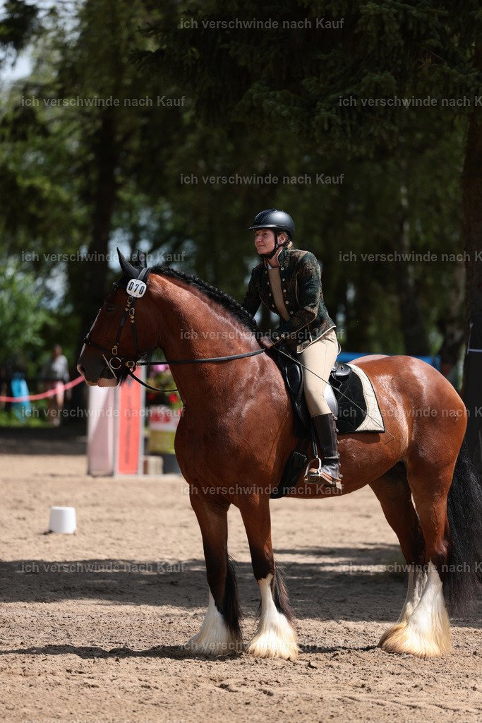 KlasseA_Stoibphotography_C2_L5597.JPG | working equitationturnier fotograf videograf stoibphotography marixx film working equitation deutschland reitsport turnierfotografie eventfotografie equestrian events