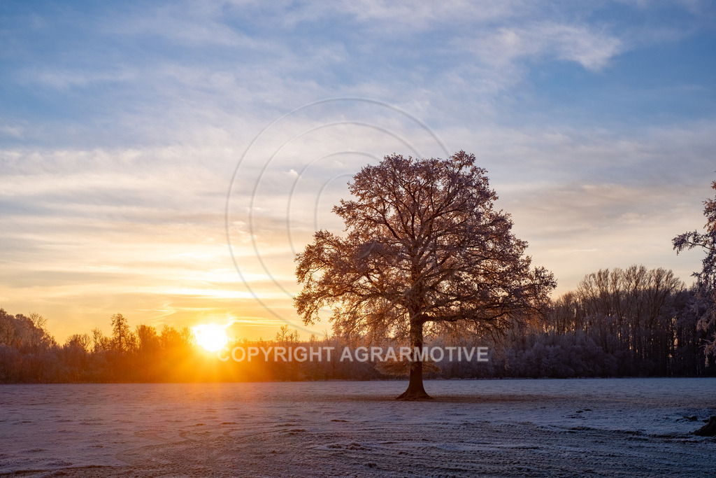 20221218-_DSF2455 | Schneebedeckte Landschaft bei eisiger Kälte - Realisiert mit Pictrs.com