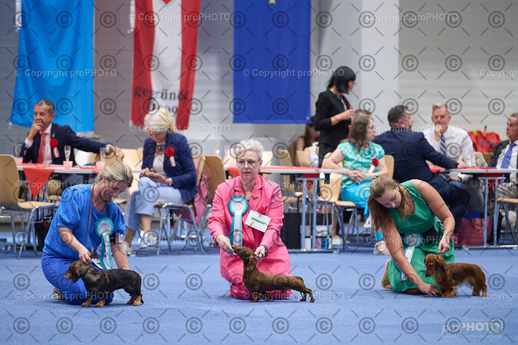 202406_ÖKV-IHA-Tulln24_DSC_3012 | proPHOTO - Realisiert mit Pictrs.com