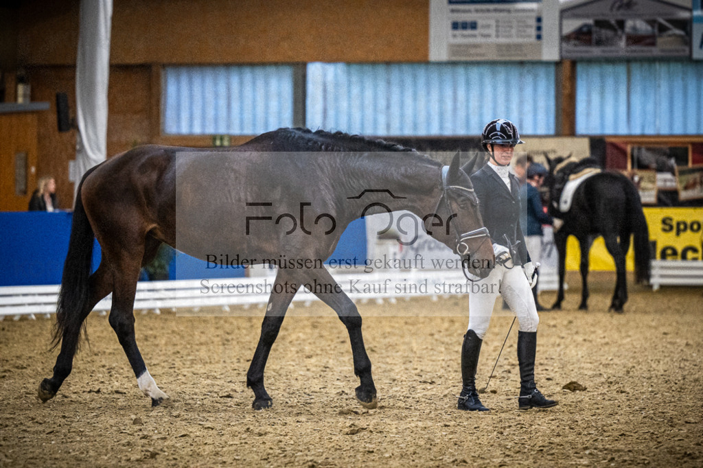 DOS_1124 | Entdecke hochwertige Reitturnierfotos von Foto Oger. Professionell, emotional und authentisch – jetzt Lieblingsmomente im Shop bestellen.Deutschlandweite Turnierfotografie. - Realisiert mit Pictrs.com