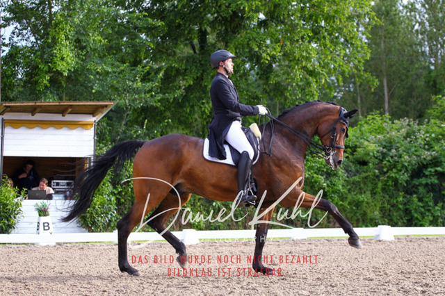 DKP41755 | Turnierfotos kaufen im Webshop von Daniel Kuhl Photography – entdecke professionelle Reitsportfotos aus Turnieren & Events. Hochwertige Turnierbilder online bestellen & sichern. Jetzt Fotos von Reitsportturnieren kaufen!