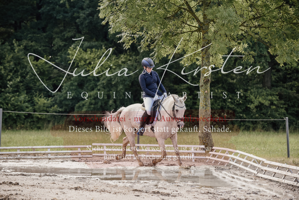 DSC_8041 | Pferde- und Turnierfotografie in Westsachsen. Pferdeportraits, Auftragszeichnungen und intuitive Kunst.