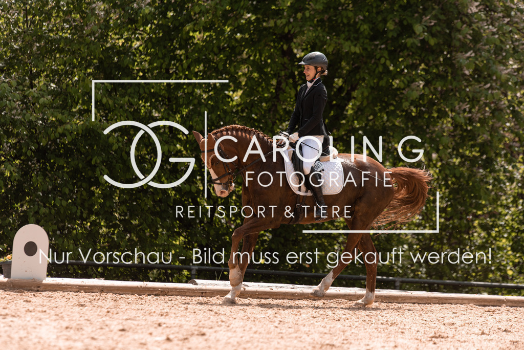 DSC_0360 | Turnierfotografin Carolin Gieschke, Turnierfotografie Carolin G Fotografie, Turnierfotos Kirchheim/Teck, Esslingen, Stuttgart, Bodenseekreis