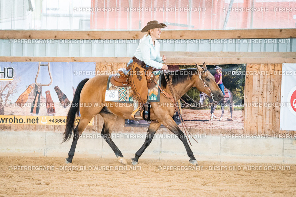 DSC00254 | Pferdegrafie