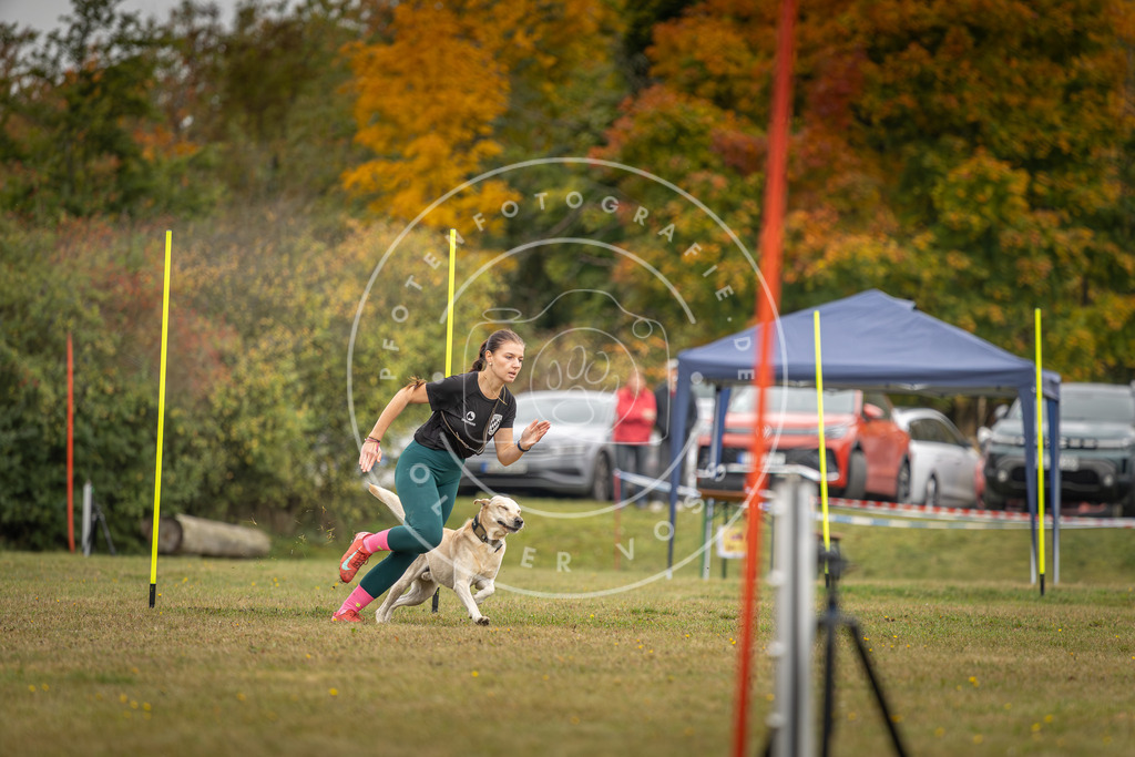 Pfotenfotografie_DV3A3825 | Hundefotografie, Tierfotograf, Pfotenfotografie, Fotoshooting Hund, Hunde Portrait, Hundesport, Hundeportraits, Heideshooting, Hunde, Sportfotograf, Hundefotograf, Turnierhundsport, THS,  - Realisiert mit Pictrs.com