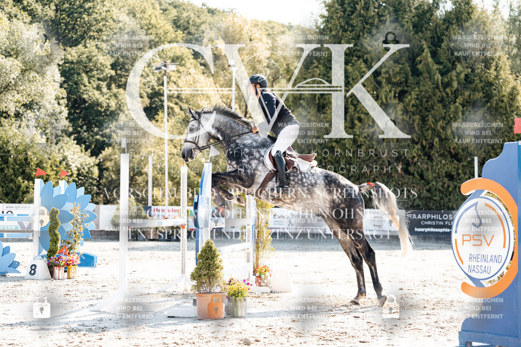CK902115 | Turnierfotografie Pferdefotografie Trier Rheinland-Pfalz Pferdesport Reitsport Tierfotografie Sportfotografie Pferdevideo Pferdevideografie Equestrianvideography equestrianphotography  - Realisiert mit Pictrs.com