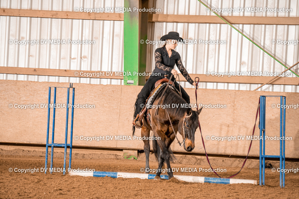 BAL00635 | dv-media-shop - Realisiert mit Pictrs.com