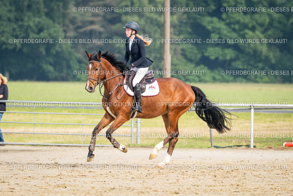 DSC08915 | Pferdegrafie