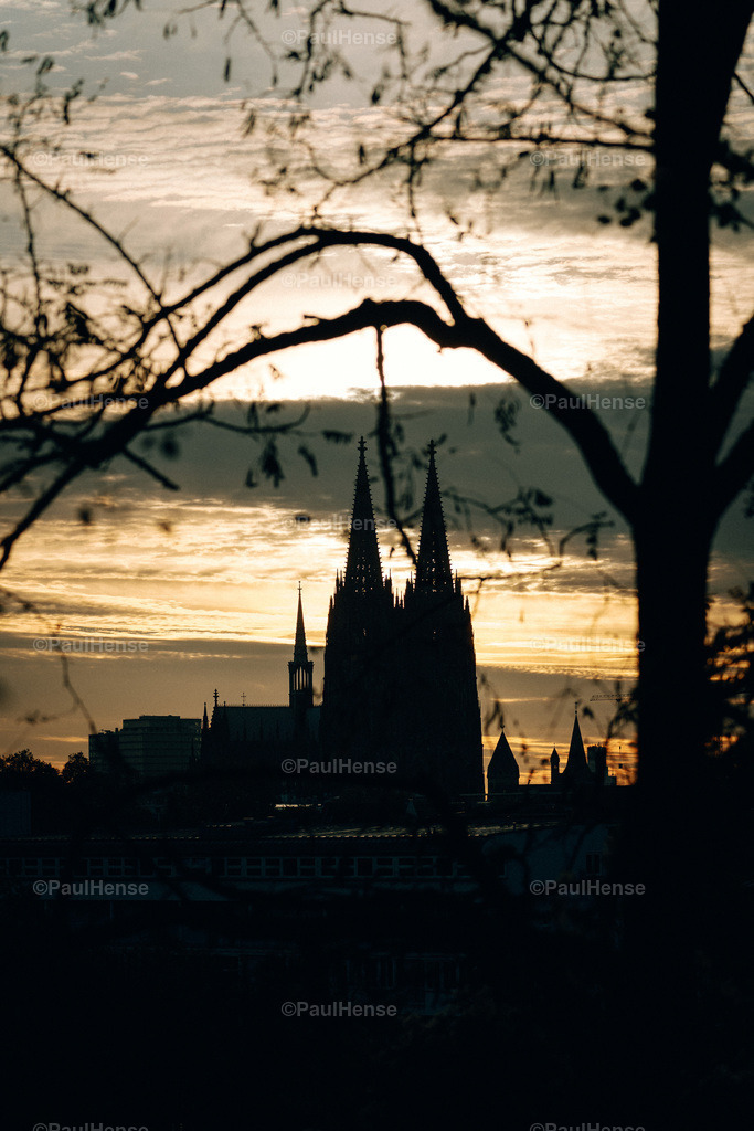 20221108_PaulHense_S0011_DSC04400 | paulhense - Realisiert mit Pictrs.com