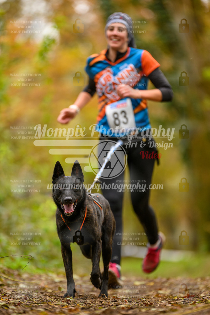 MompixPhotography_Bischwiller24_SA_Canicross-155 | PayLife