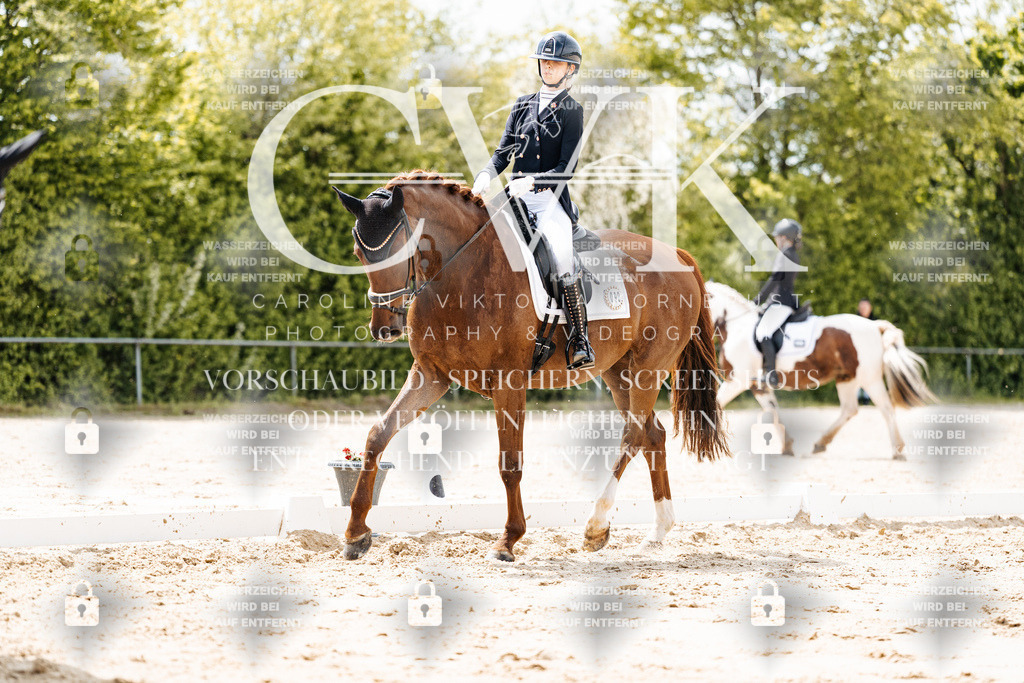 CK902127 | Turnierfotografie Pferdefotografie Trier Rheinland-Pfalz Pferdesport Reitsport Tierfotografie Sportfotografie Pferdevideo Pferdevideografie Equestrianvideography equestrianphotography  - Realisiert mit Pictrs.com