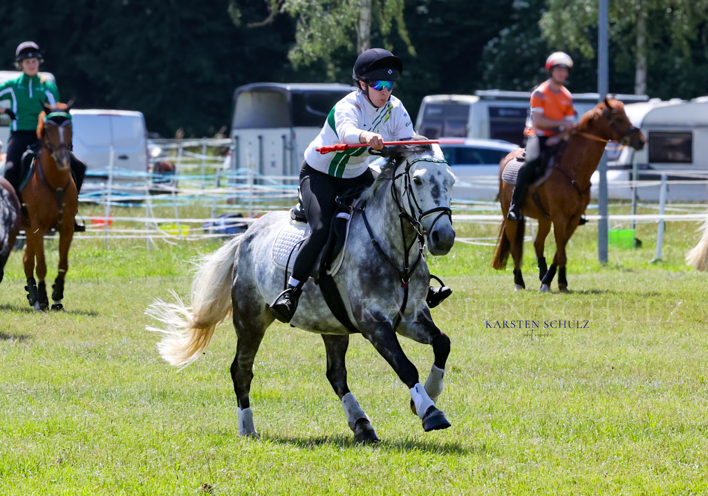 IMG_1587 | Reitsport Reiten
