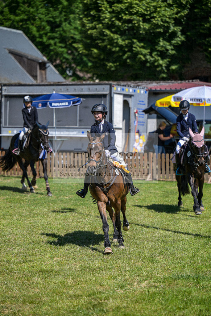 Reitturnier Voxtrup | Entdecke hochwertige Reitturnierfotos von Foto Oger. Professionell, emotional und authentisch – jetzt Lieblingsmomente im Shop bestellen.Deutschlandweite Turnierfotografie. - Realisiert mit Pictrs.com