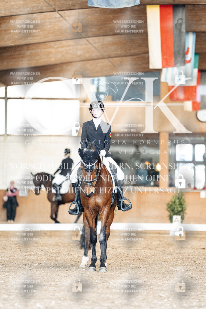 CK901542 | Turnierfotografie Pferdefotografie Trier Rheinland-Pfalz Pferdesport Reitsport Tierfotografie Sportfotografie Pferdevideo Pferdevideografie Equestrianvideography equestrianphotography  - Realisiert mit Pictrs.com
