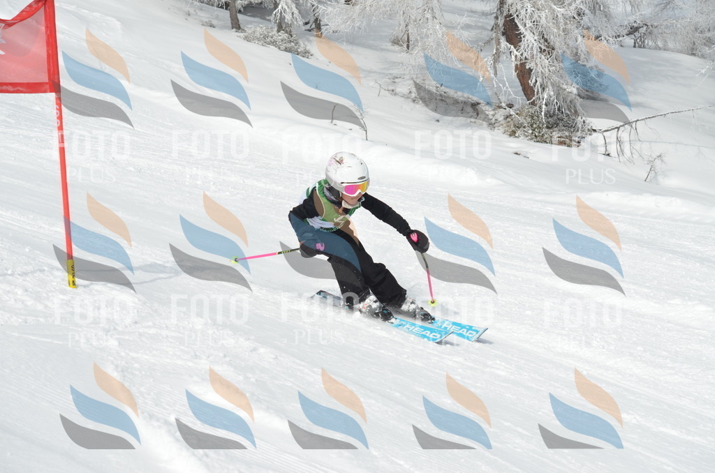 D8496 | holidayphoto