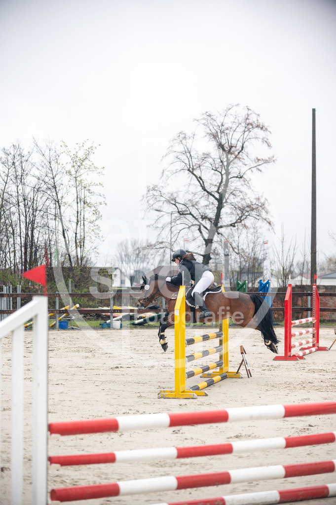 DSC_8358 | sattelsport - Realisiert mit Pictrs.com