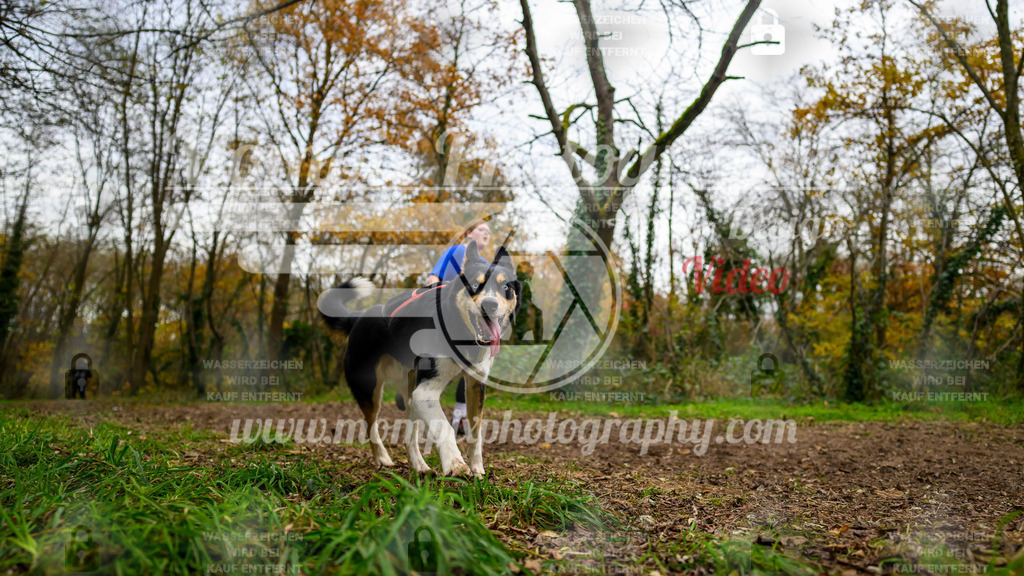 MompixPhotography_Bischwiller24_DI_CoursedeRelais-123 | PayLife
