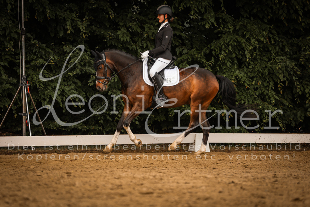 DoDrA00501 | Leoni Ertmer Photography - Realisiert mit Pictrs.com