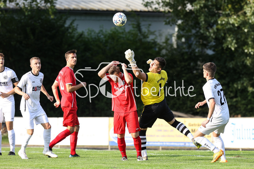 VfR Neuburg - TSV Hollenbach | Hollenbach #8 / Neuburg #1