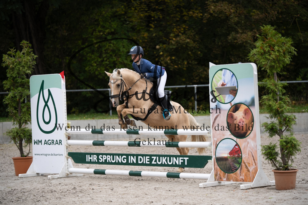 A7V08268 | Pferdefotograf