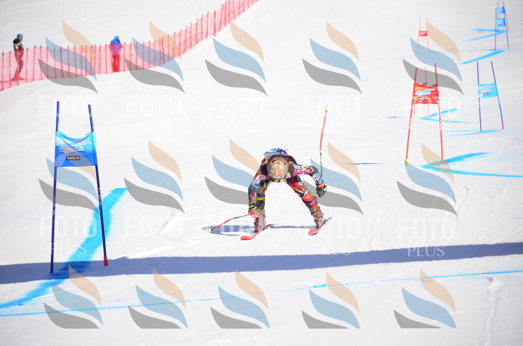 VR4_8614 | holidayphoto