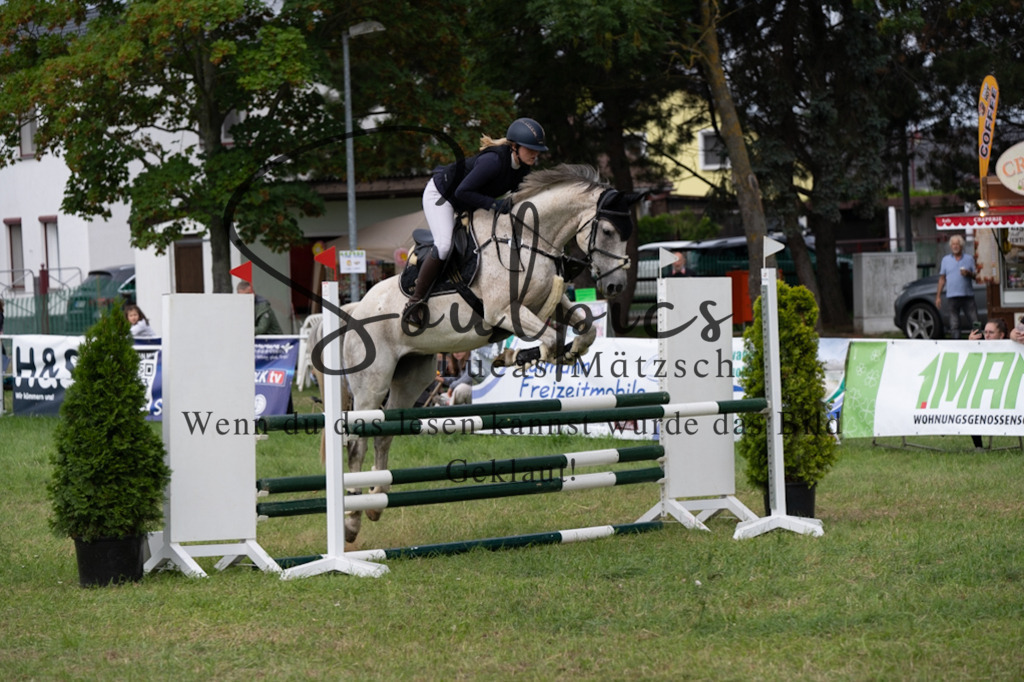 A7V05271 | Pferdefotograf