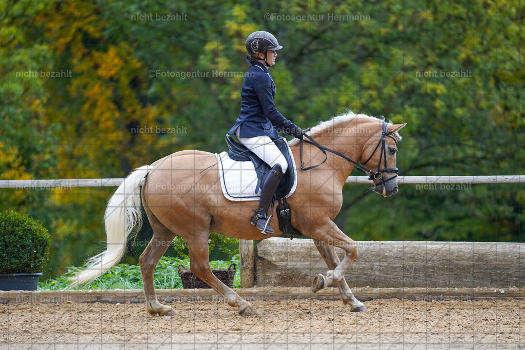20221008-FAH00950 | Diessen am Ammersee, 2022, Dressur- und Springturnier, Reitsportbilder, Turnierfotografen Bayern, Pferdefotografen, Fotoagentur Herrmann, Turnierbilder