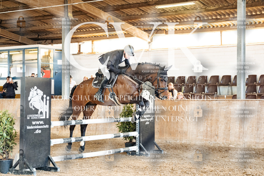CK905257 | Turnierfotografie Pferdefotografie Trier Rheinland-Pfalz Pferdesport Reitsport Tierfotografie Sportfotografie Pferdevideo Pferdevideografie Equestrianvideography equestrianphotography  - Realisiert mit Pictrs.com