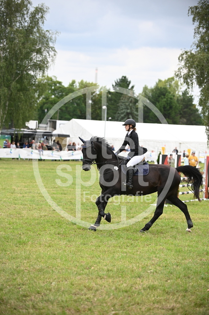 DSC_1312 | sattelsport - Realisiert mit Pictrs.com